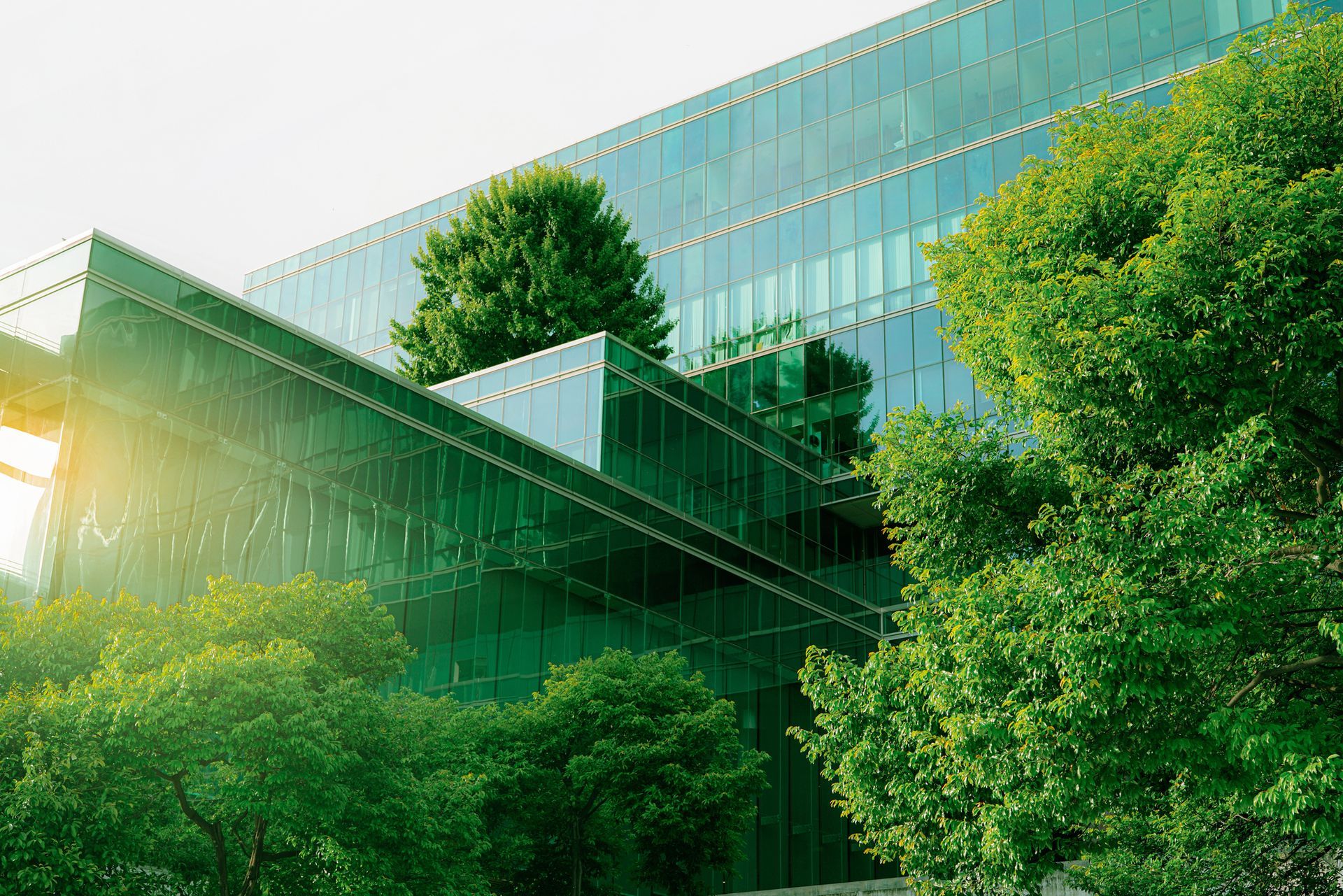 Green glass building with trees growing on its terraces, sunlight shining.