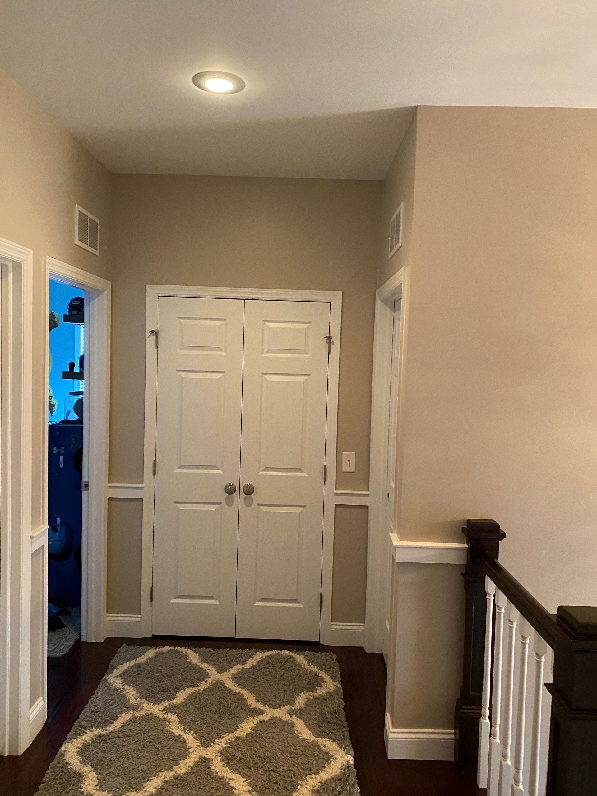 A hallway with white doors and a rug on the floor.