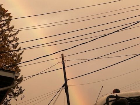 A rainbow is visible in the sky above a telephone pole