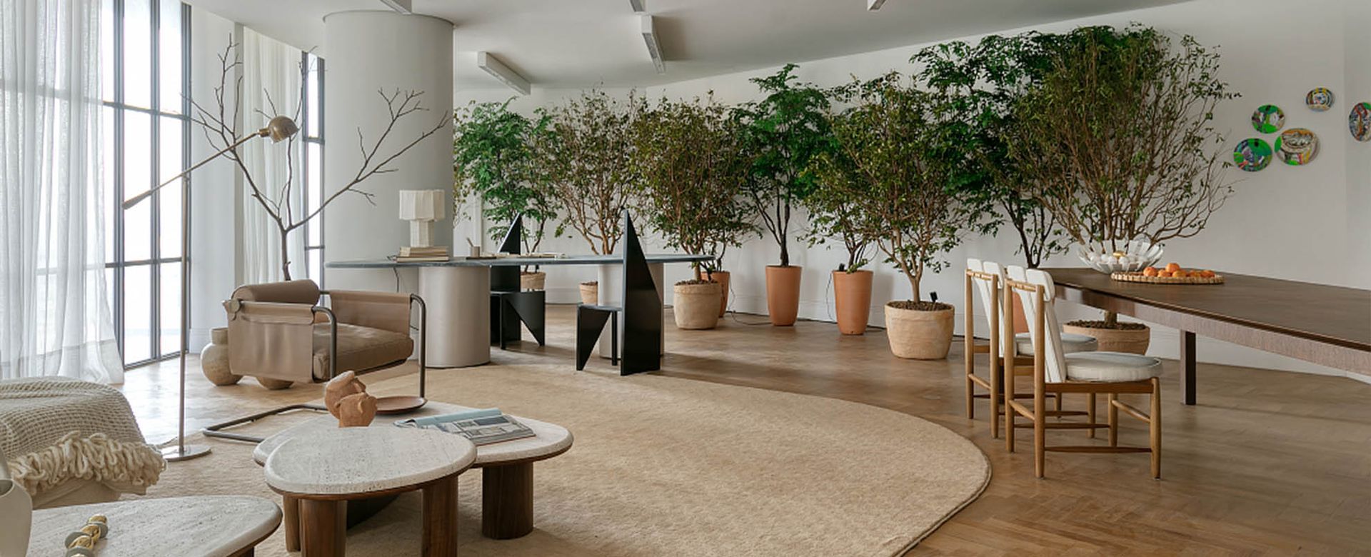 Uma sala repleta de móveis e vasos de plantas.