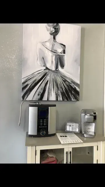 A black and white painting of a woman in a dress is hanging on a wall above a coffee maker.