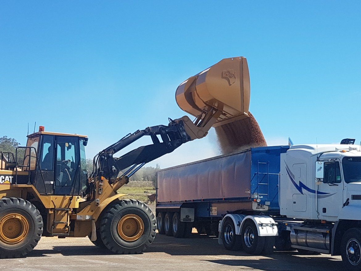 A photo showing the advantage of a McCormack Overtipping Bucket loading grain into a Semitrailer.