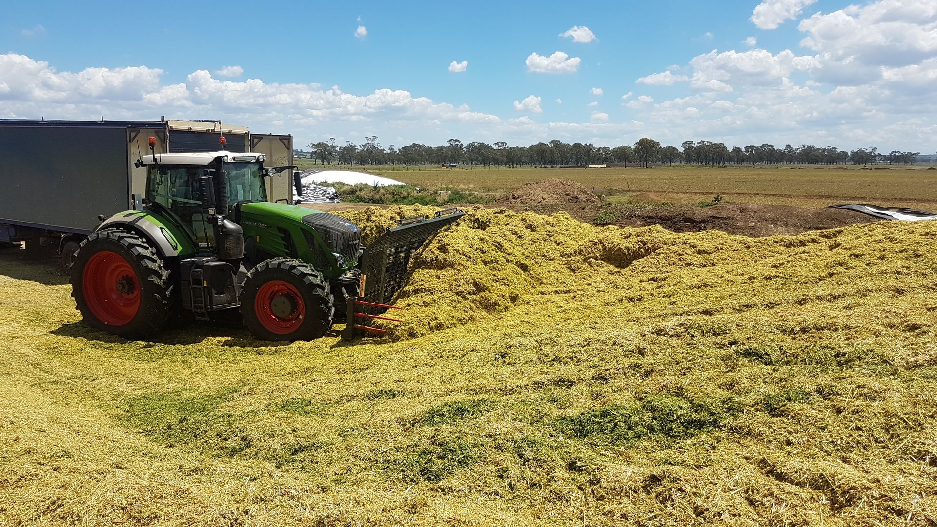 Push off silage buck rake