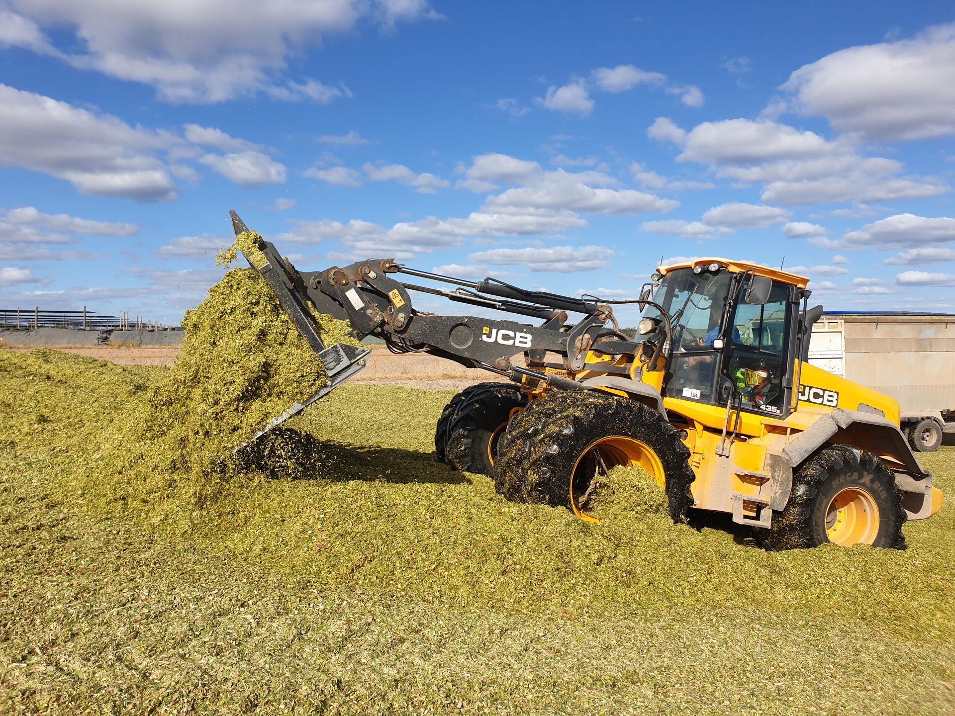 Silage Buck Rake on Wheel Loader
