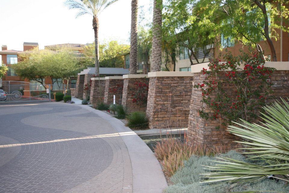 A brick wall with palm trees in the background