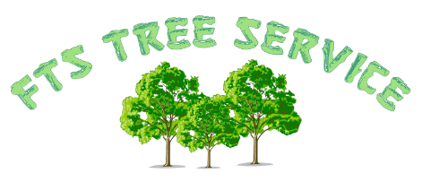 Logo for