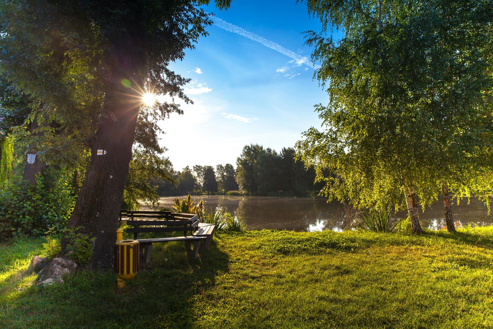 Sunlight streams over a lake, framed by trees and benches on a grassy shore.