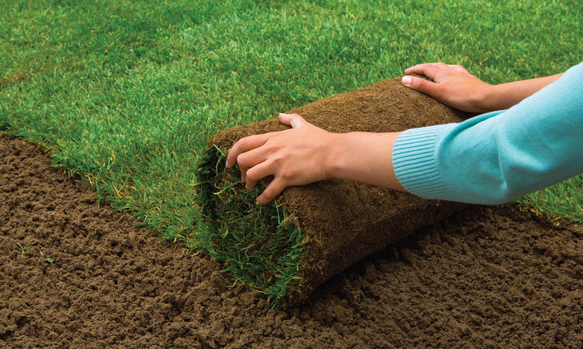 homme posant de la moquette d’herbe de pelouse prête à l’emploi