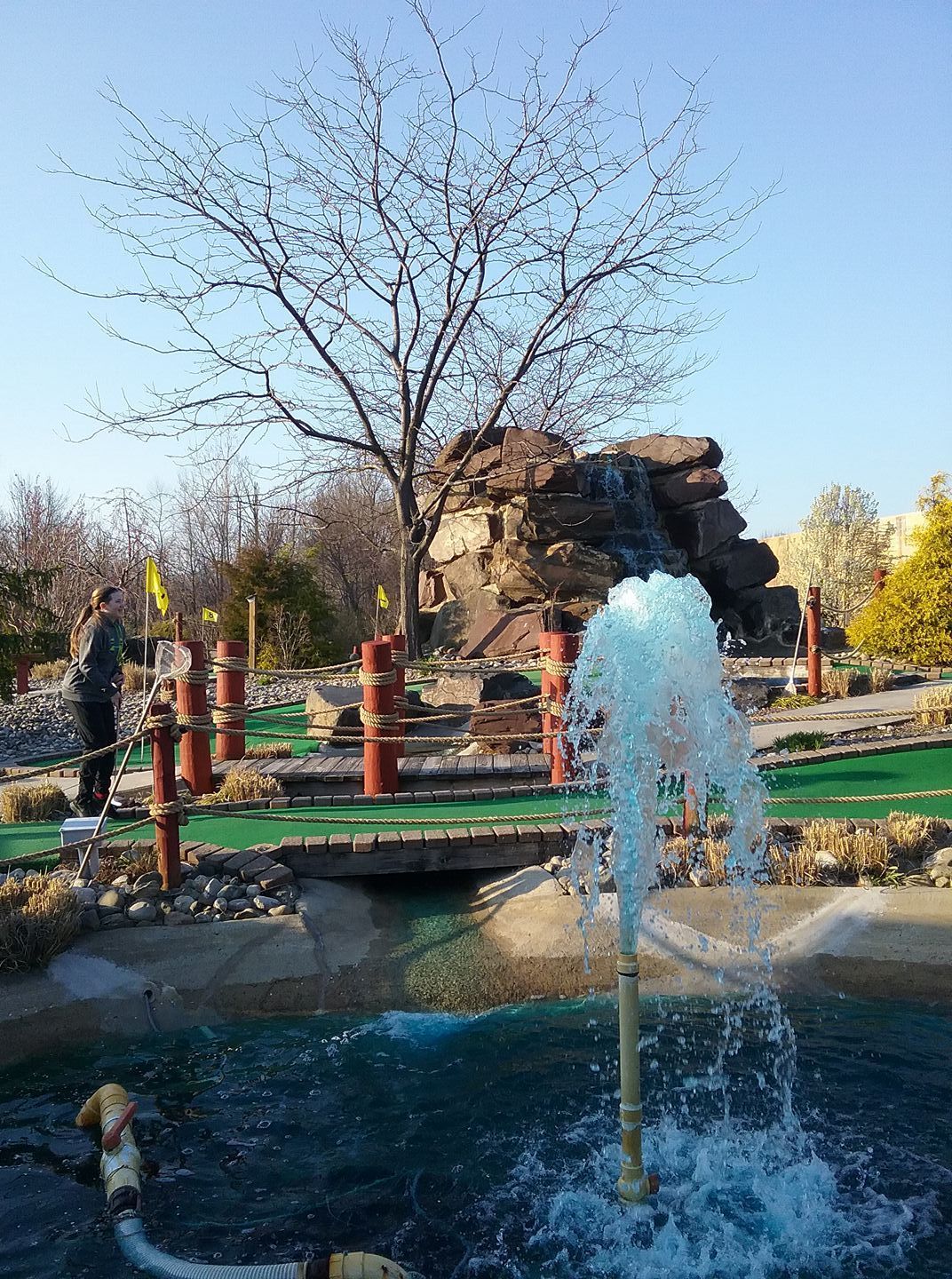 A fountain in a park with a tree in the background