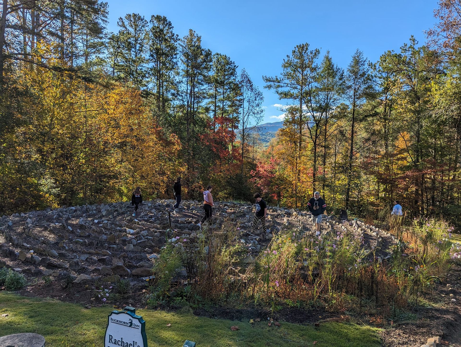 Group of people standing among a field of rocks, with trees in fall colors and a distant mountain under a blue sky.