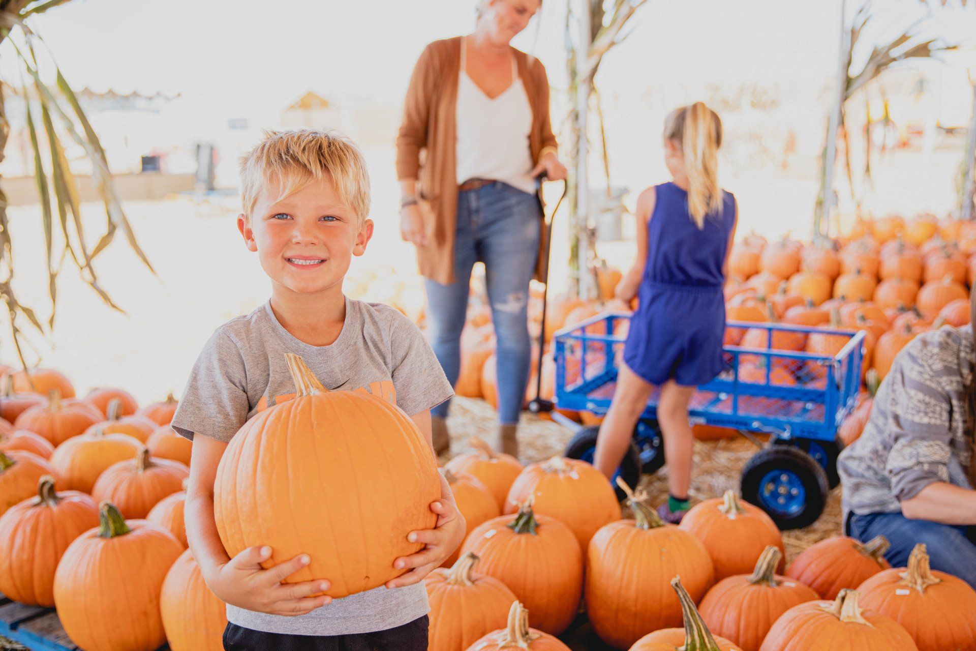 A young boy is holding a large pumpkin at a pumpkin patch.