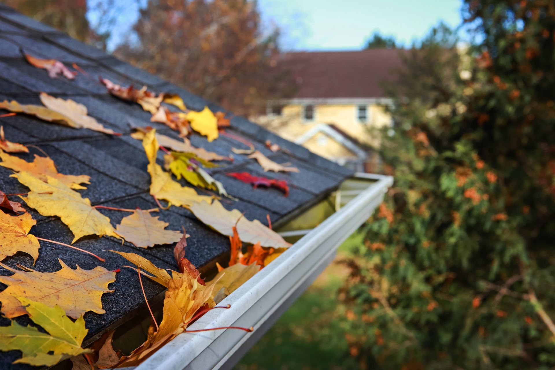 A gutter filled with leaves on the roof of a house