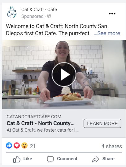 A facebook ad for cat & craft cafe in north county san diego