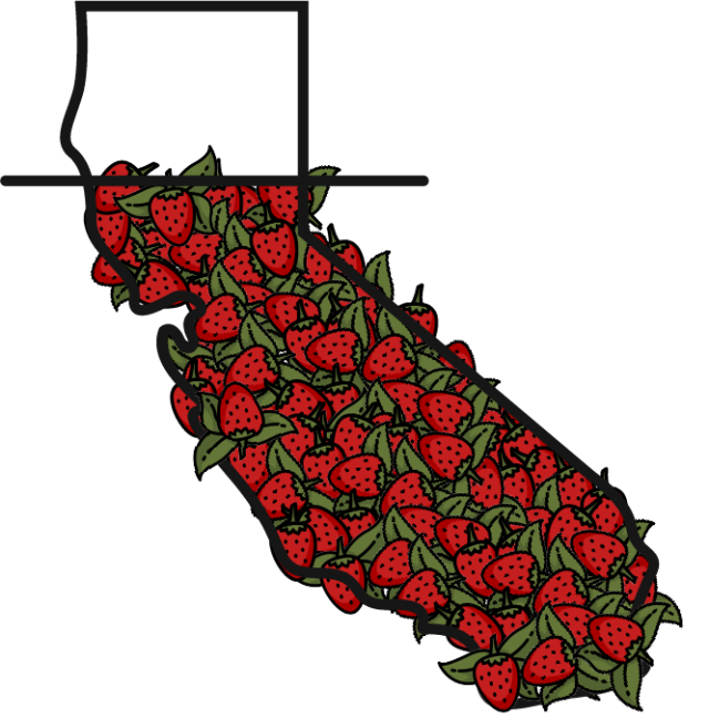 A drawing of the state of california made out of strawberries
