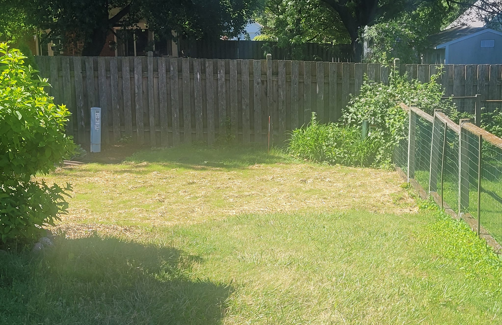A grassy backyard with a patch of dirt near a wooden fence and a wire garden fence on the right.