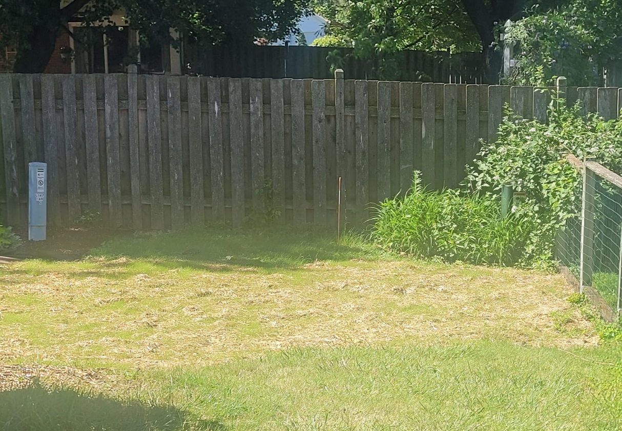 A backyard with a wooden fence, a small patch of trimmed grass, and overgrown green plants near a wire fence.