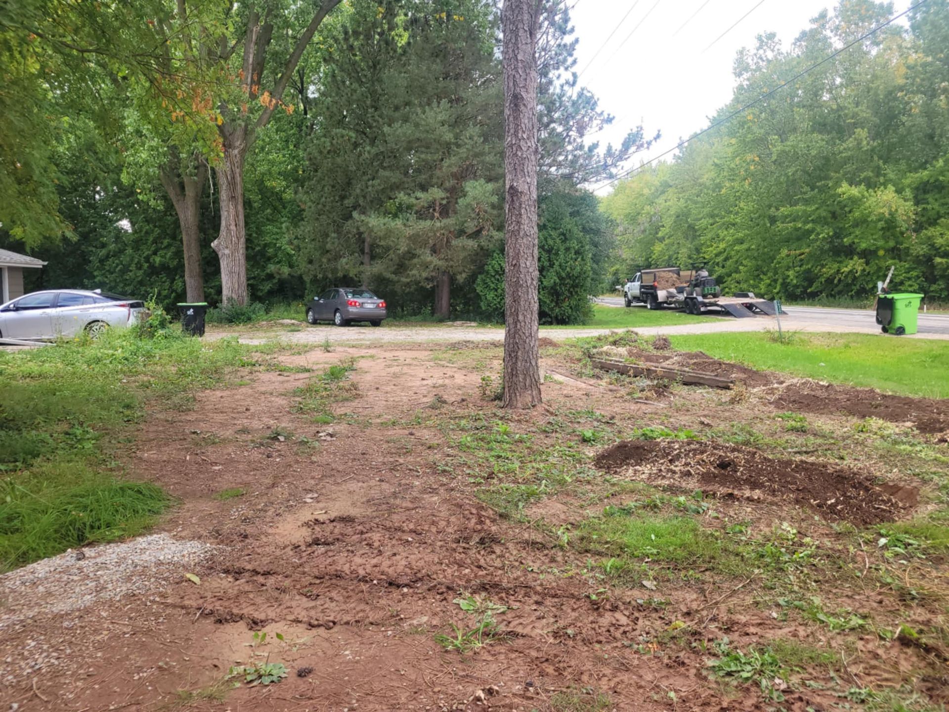 A residential yard featuring a patch of cleared, bare dirt, a tall tree in the center, and cars visible on a distant road.
