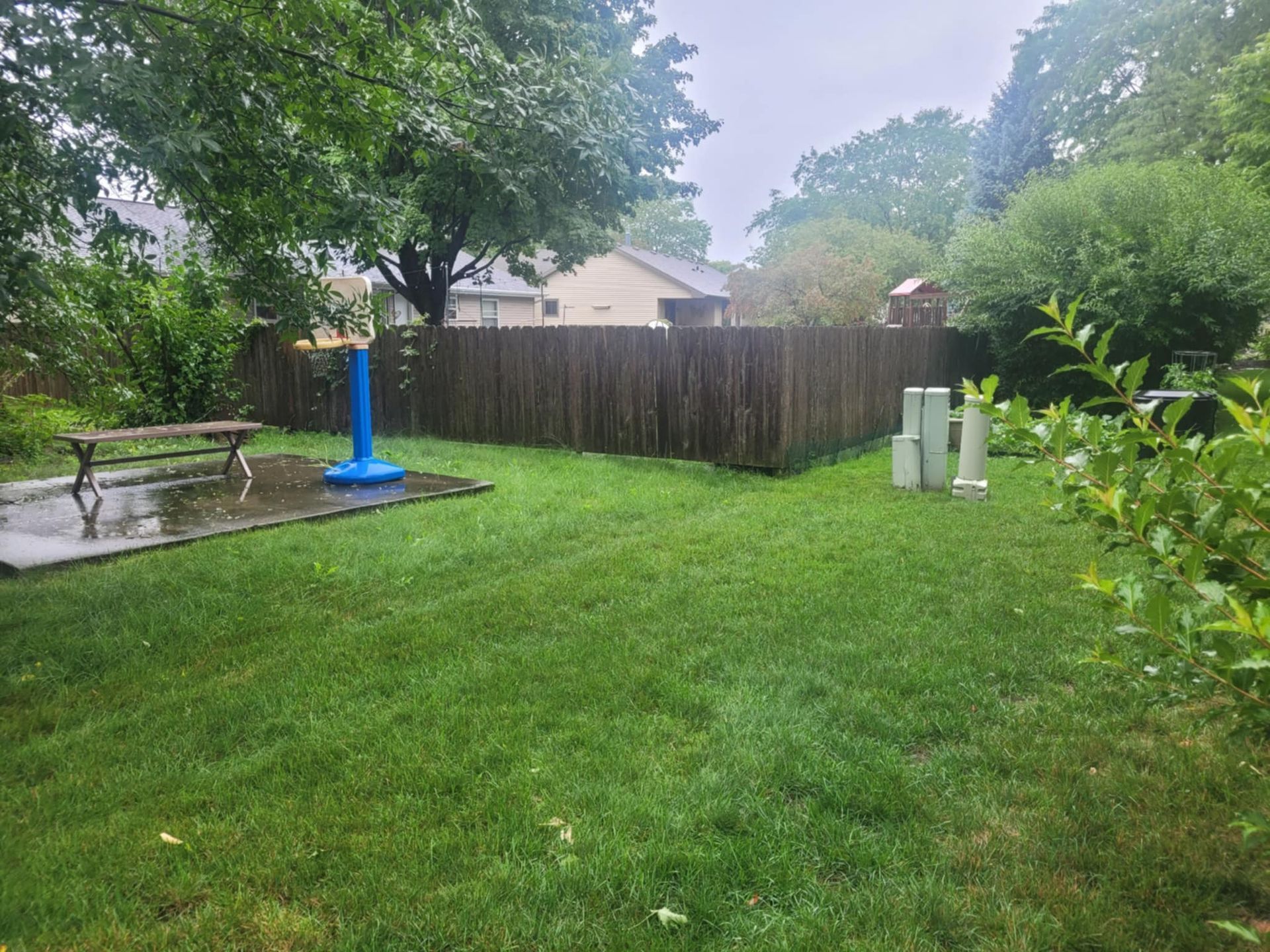 A grassy backyard with a wooden fence, a small concrete patio with a bench, a blue sprinkler, and a birdhouse on a post.
