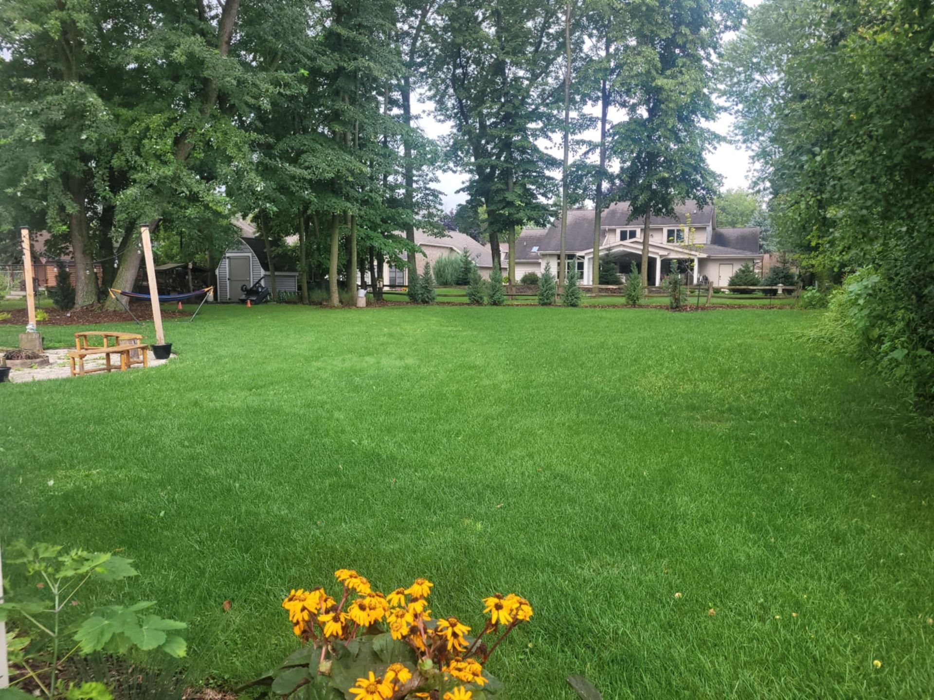 A lush green lawn surrounded by tall trees, with a house in the background and a small outdoor seating area on the left.