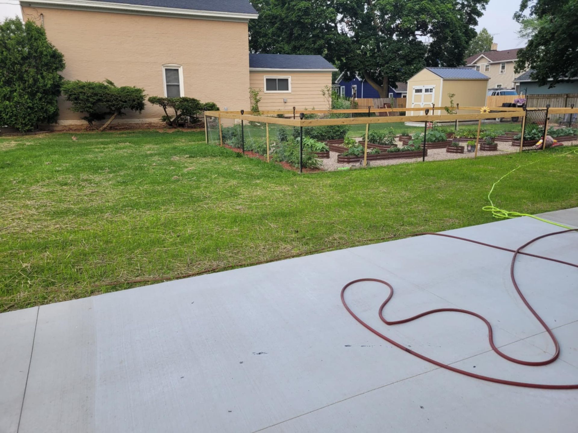 A backyard with a fenced vegetable garden, a beige house, a small shed, and a red garden hose on a concrete patio.