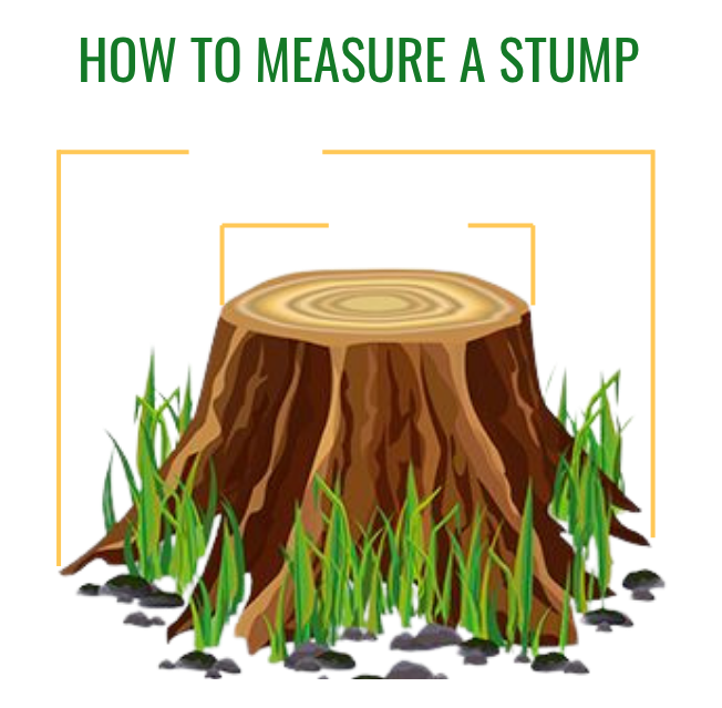 Instructional graphic showing to measure a tree stump at its widest base diameter rather than at the top.