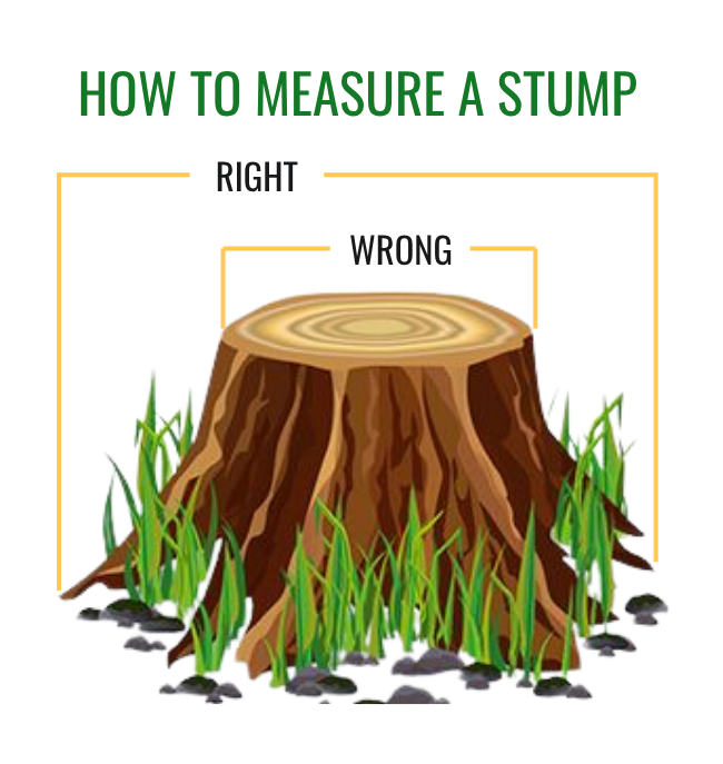 Diagram showing that a tree stump should be measured at its widest base diameter rather than across the top.