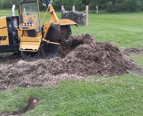 A yellow stump grinder sits on a grassy lawn next to a large pile of wood chips it has produced.
