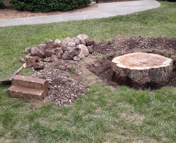 A large tree stump in a yard with a pile of rocks, a shovel, and two brick steps nearby.