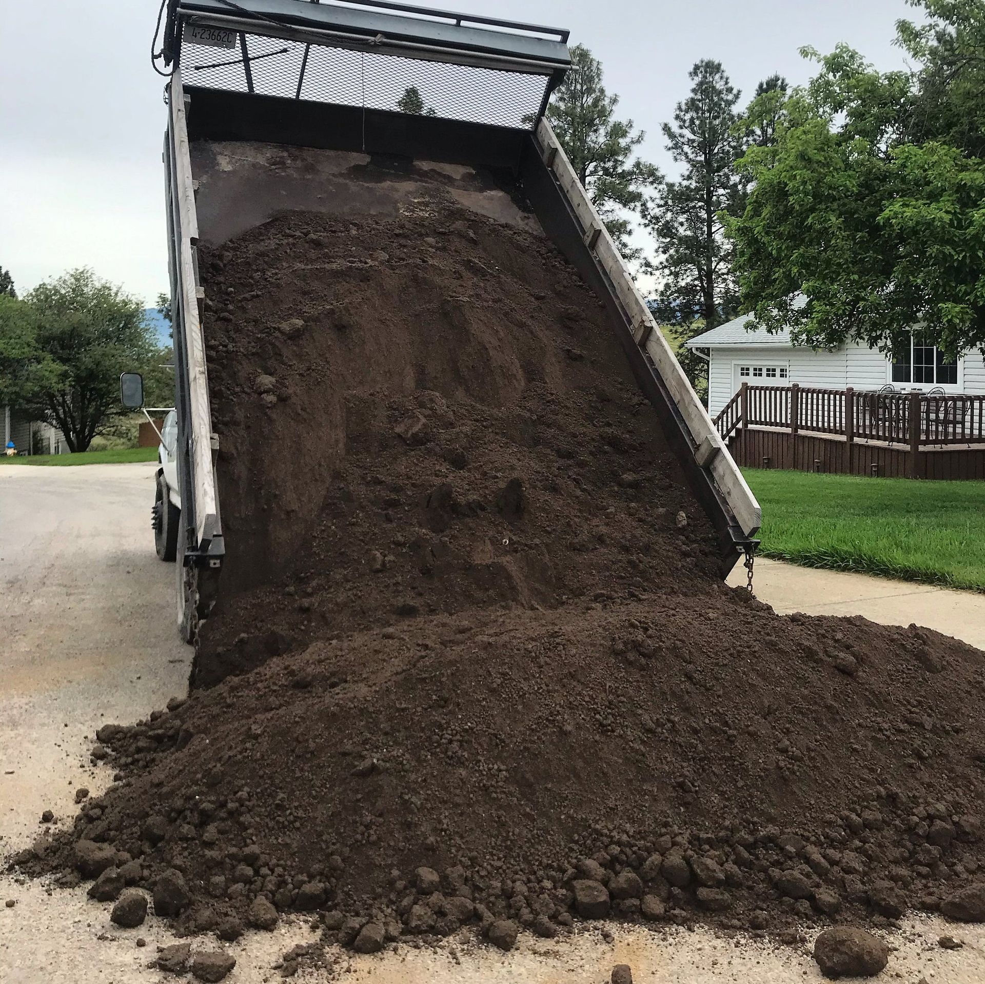 A yellow stump grinder machine works on a tree stump, creating a pile of wood chips in a grassy, outdoor setting.