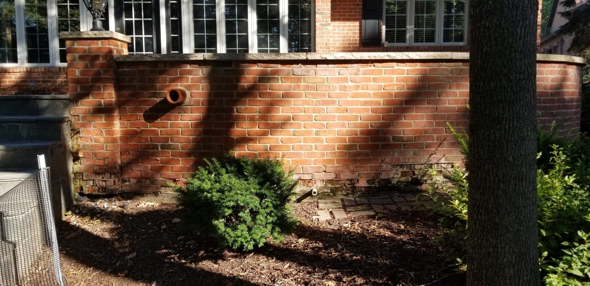A brick wall with a tree in front of it