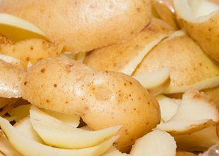 For quality maris piper potatos in Forfar, Angus, Scotland, UK, call Strathtay Potato on 01307 496 157