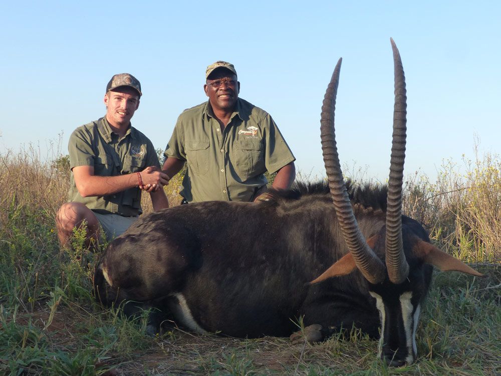 Rust de Winter Safaris hippos