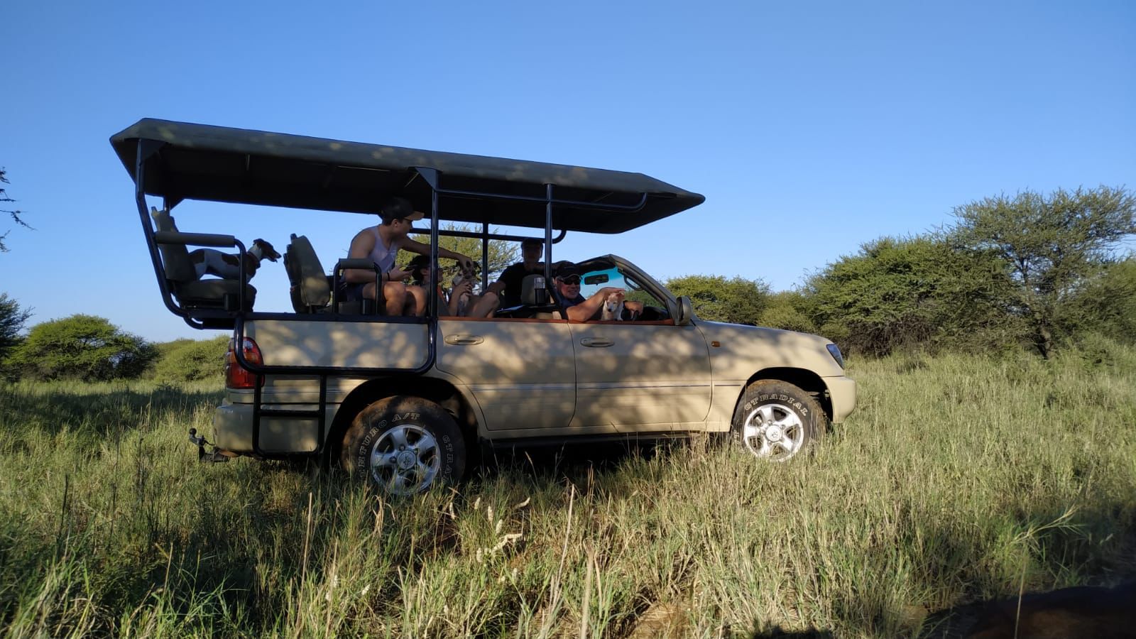 Rust de Winter Safaris_game viewer 2