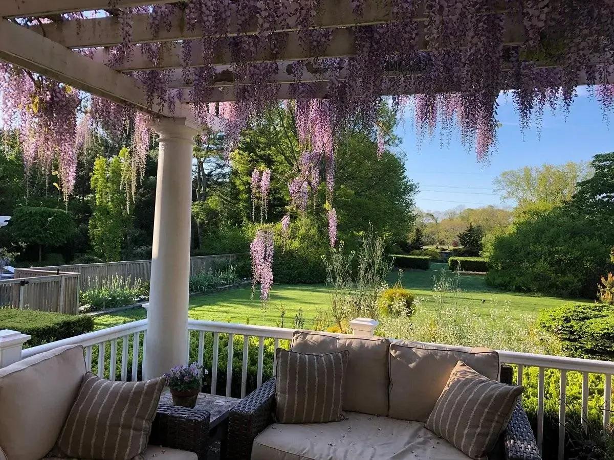 A patio with a couch and chairs under a pergola with purple flowers hanging from it.