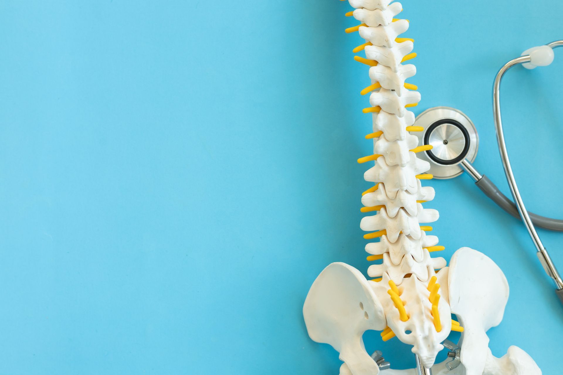 Spine model with yellow and white parts, a stethoscope on blue background.