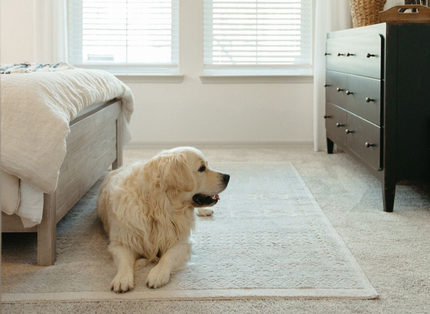 A bright, modern lobby with a white marble reception desk, two armchairs, a small side table, and a green wall accent.