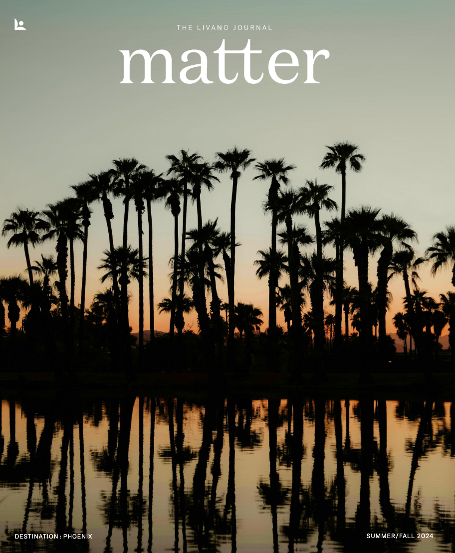 A silhouette of palm trees at dusk, reflected in calm water under a soft, golden-hued sky.