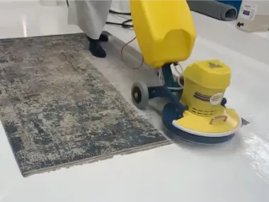 Rug Cleaning Service in Sydney