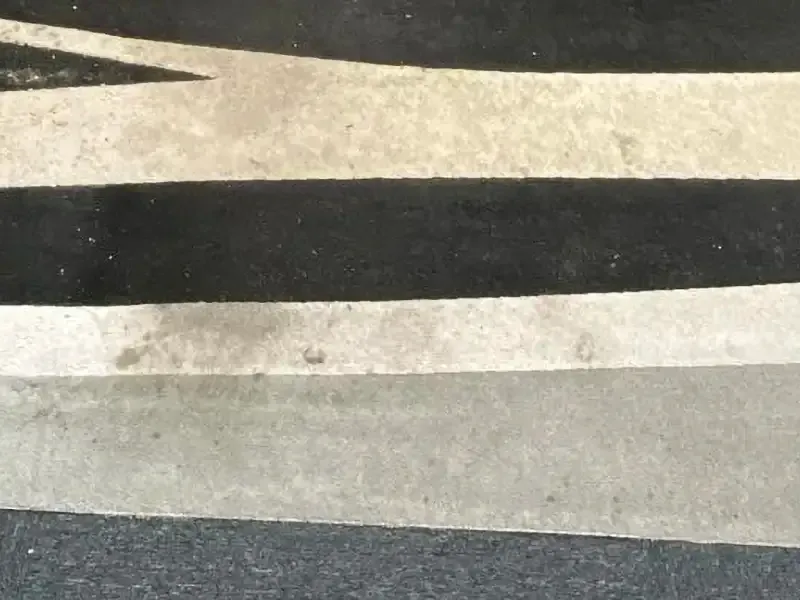 Rug Cleaning Service in Sydney