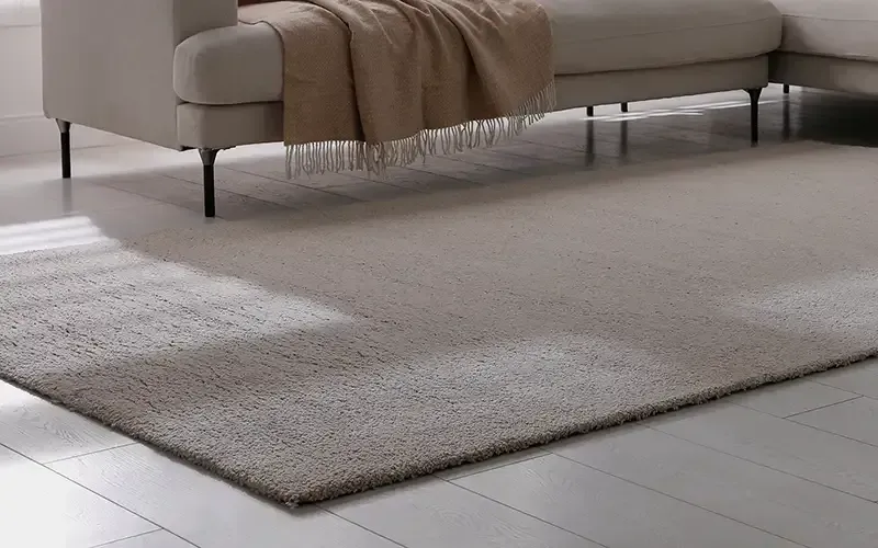 Rug Protective Treatments in Sydney