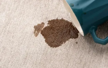 Rug Stain Removal Service in Sydney
