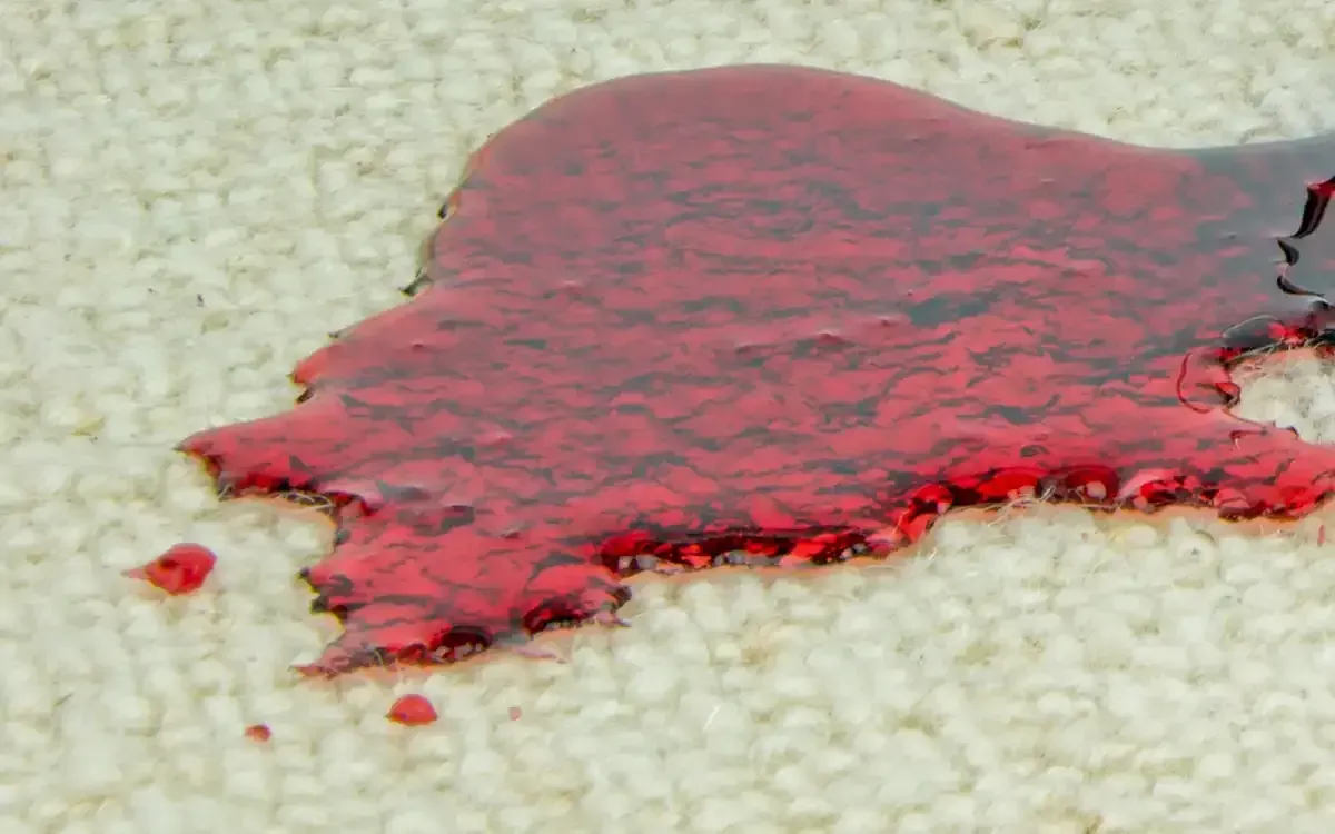 Rug Stain Protection in Sydney