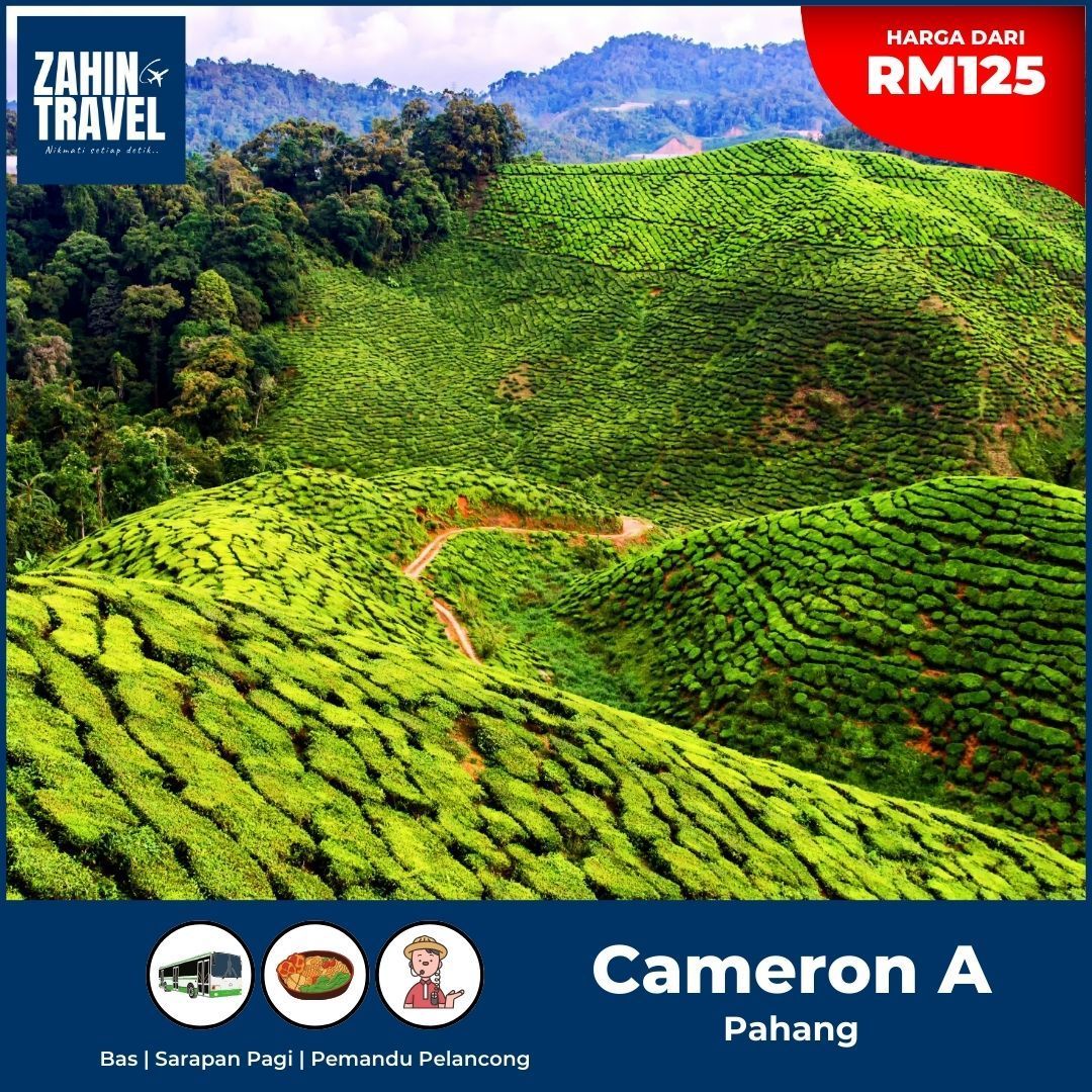 Pakej Cameron Highlands Day Trip. Dari RM125 Seorang