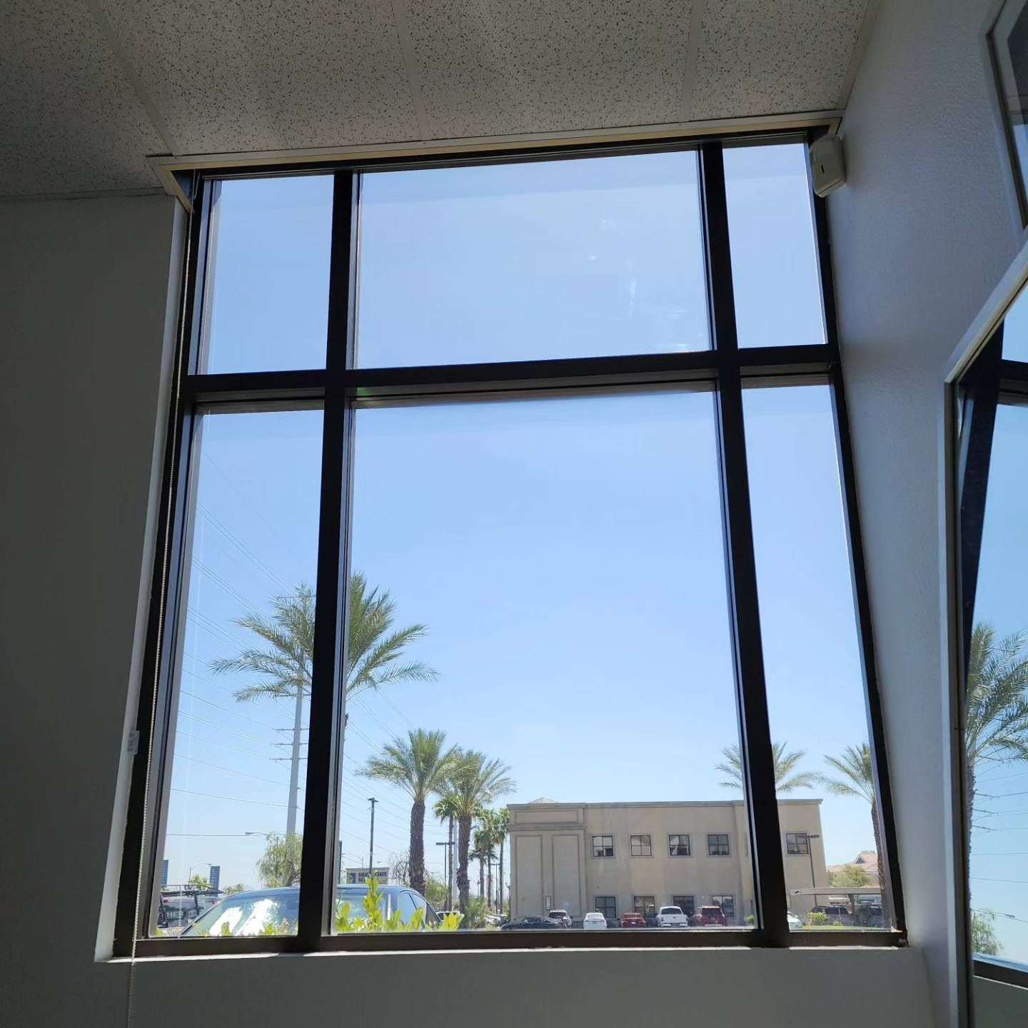 A large window with palm trees in the background