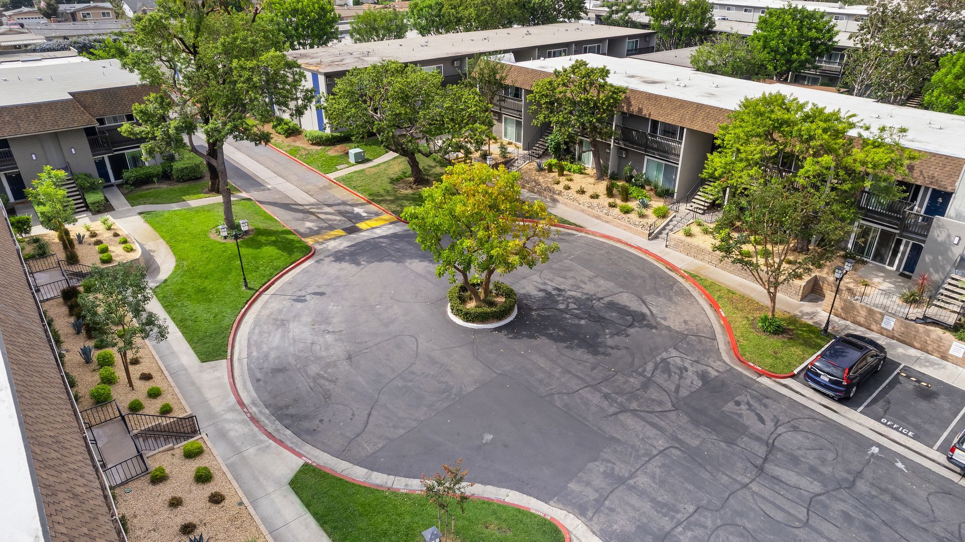 Above shot of circular driveway with tree