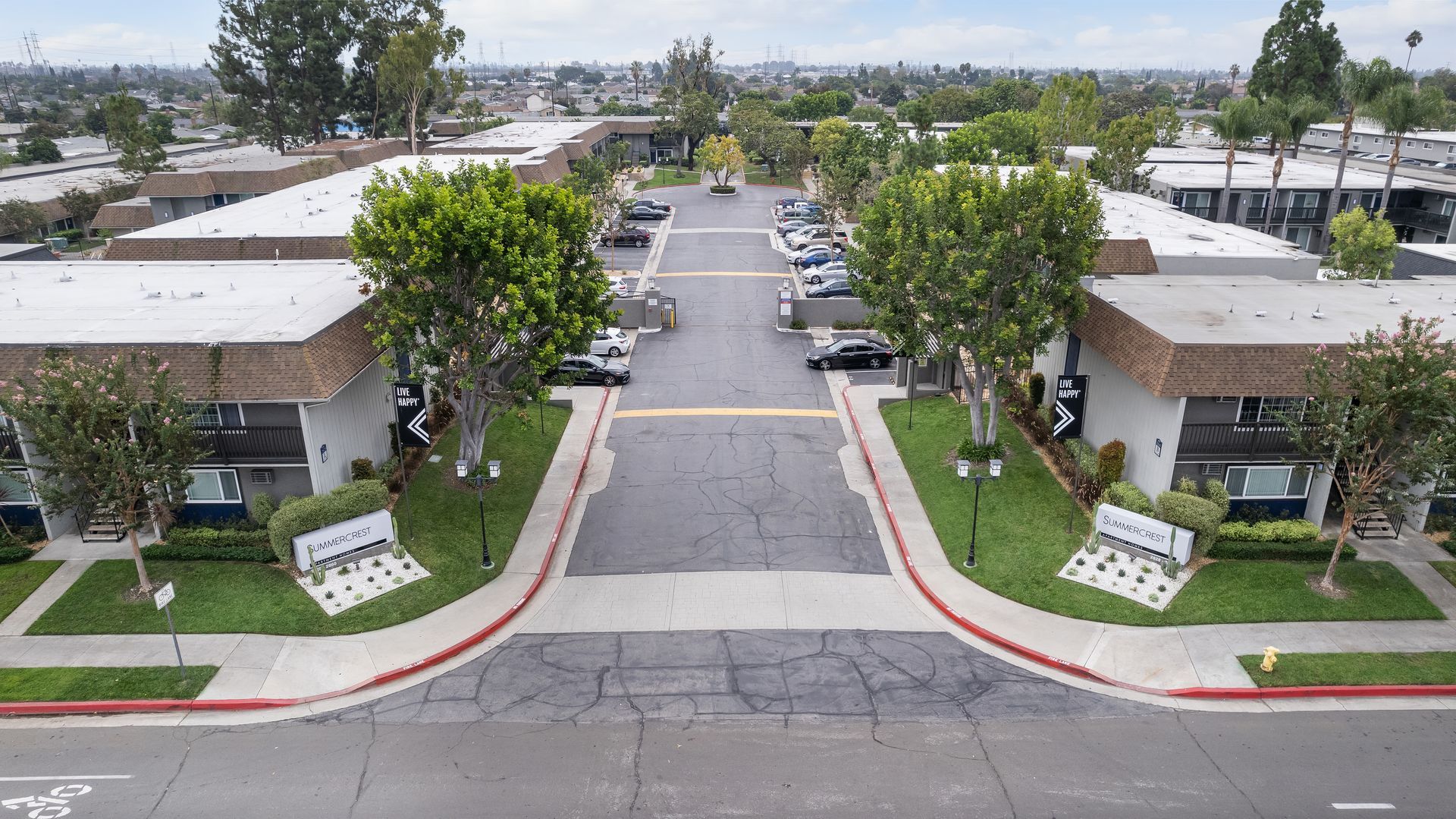Above shot of tree-lined driveway