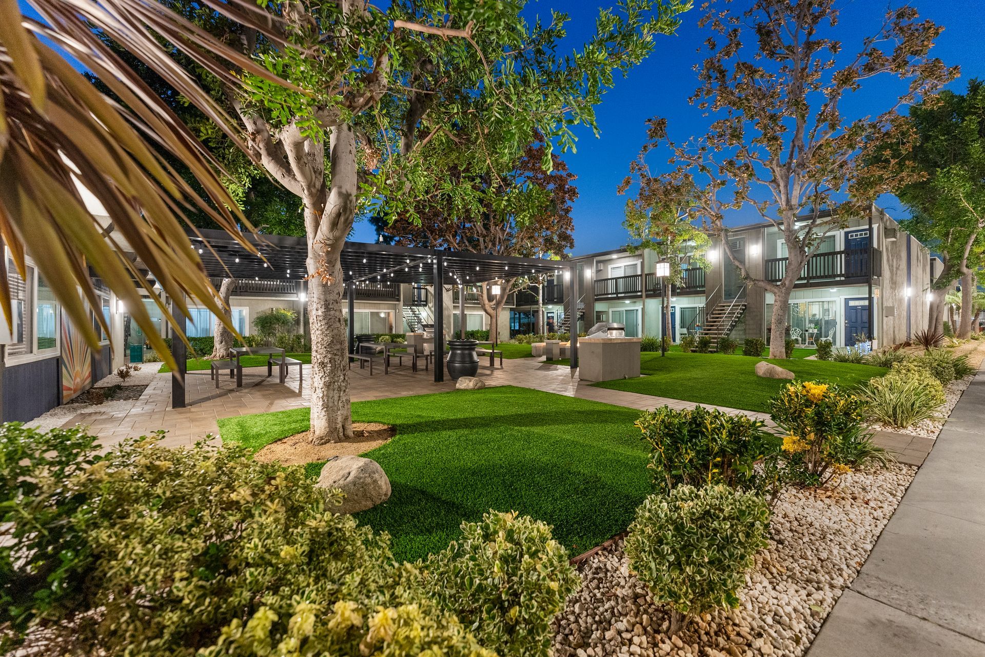 Green area with shrubs and tree