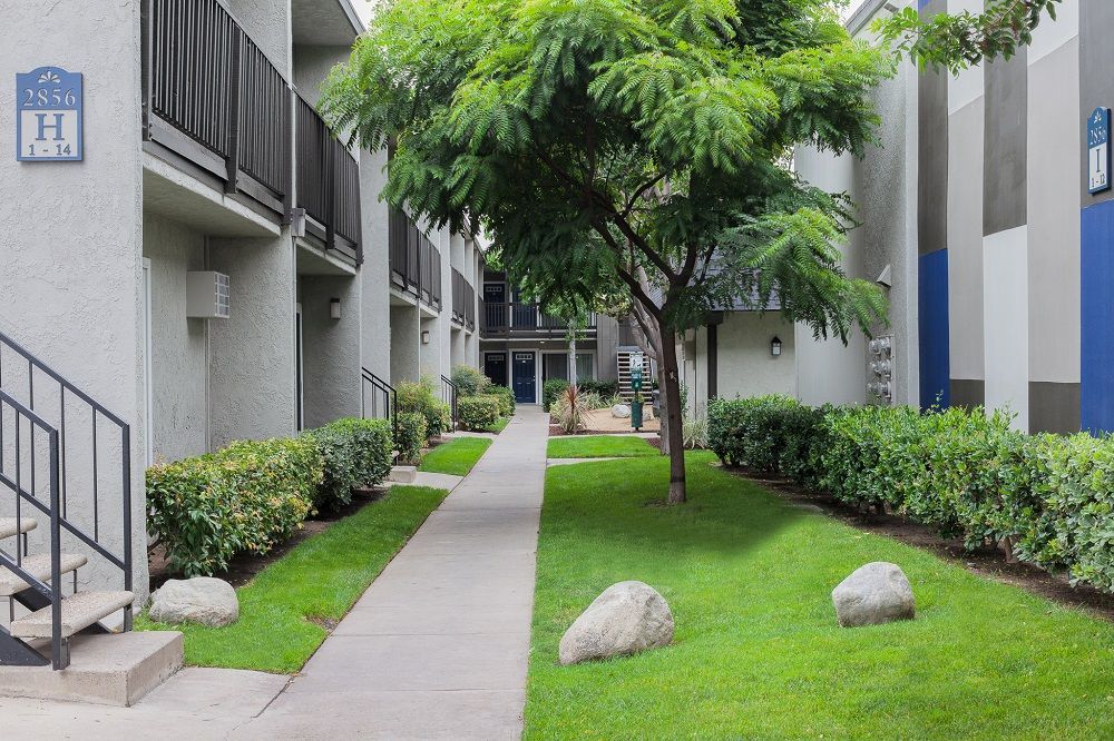 Walkway with rocks and trees