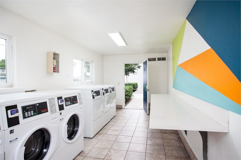Community laundry with machines and rainbow wall