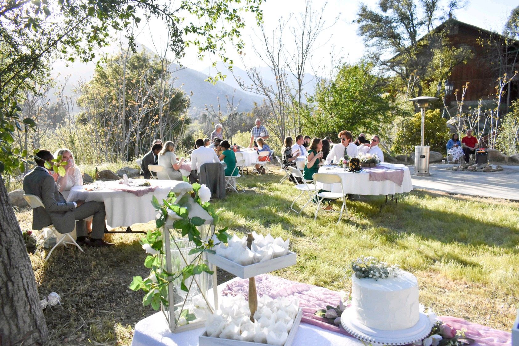 Wedding reception in a garden. Guests sit at tables decorated with flowers and a white cake. Mountains in background.